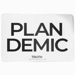 Plan Demic - Sticker
